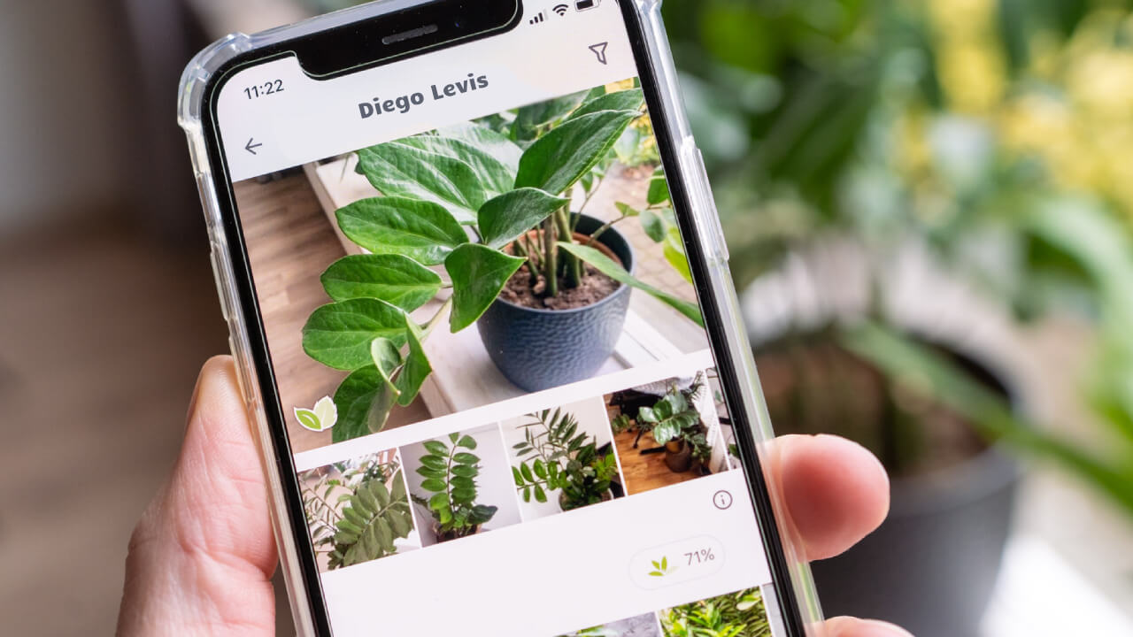 Apps para identificar plantas: Conviértete en un experto!